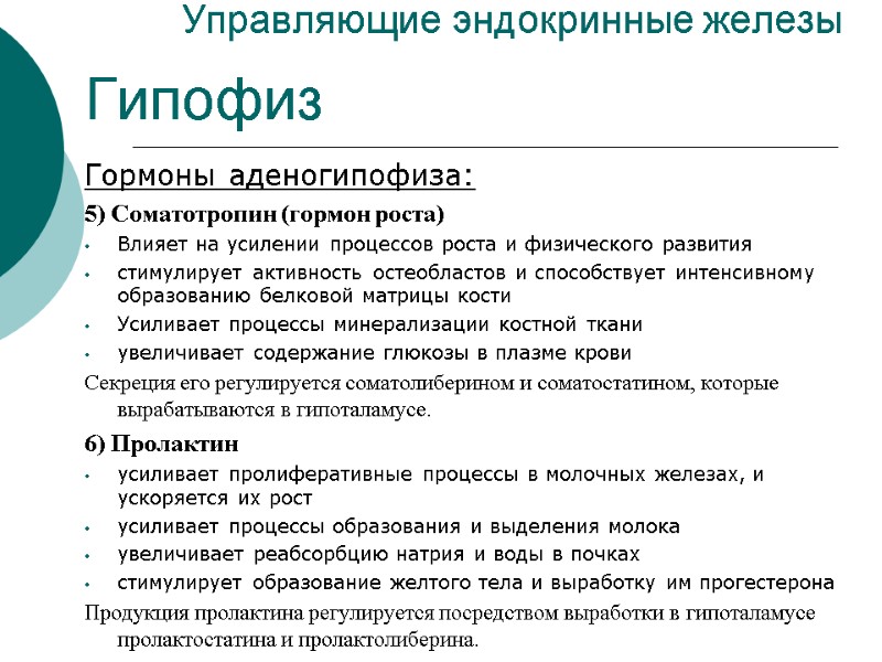 Управляющие эндокринные железы Гипофиз Гормоны аденогипофиза: 5) Соматотропин (гормон роста) Влияет на усилении процессов